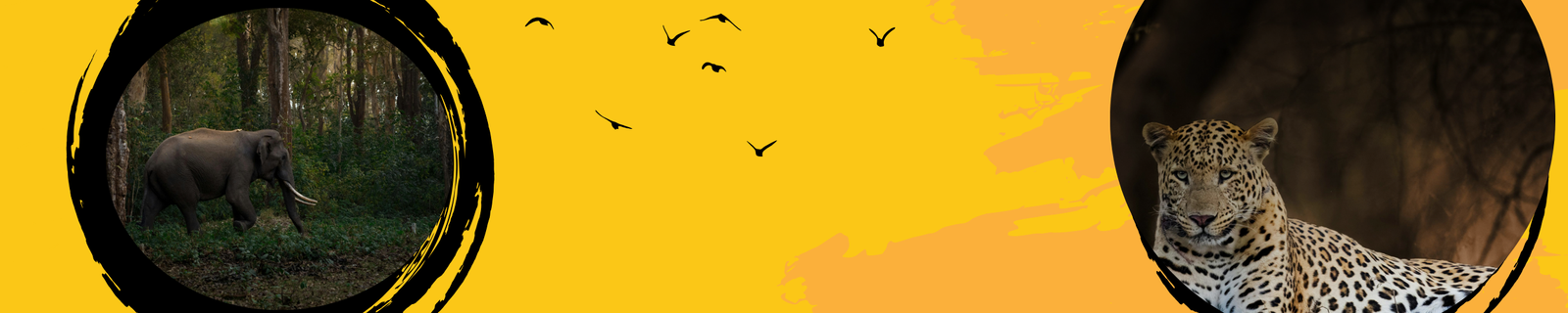 Bandhavgarh Safari Booking