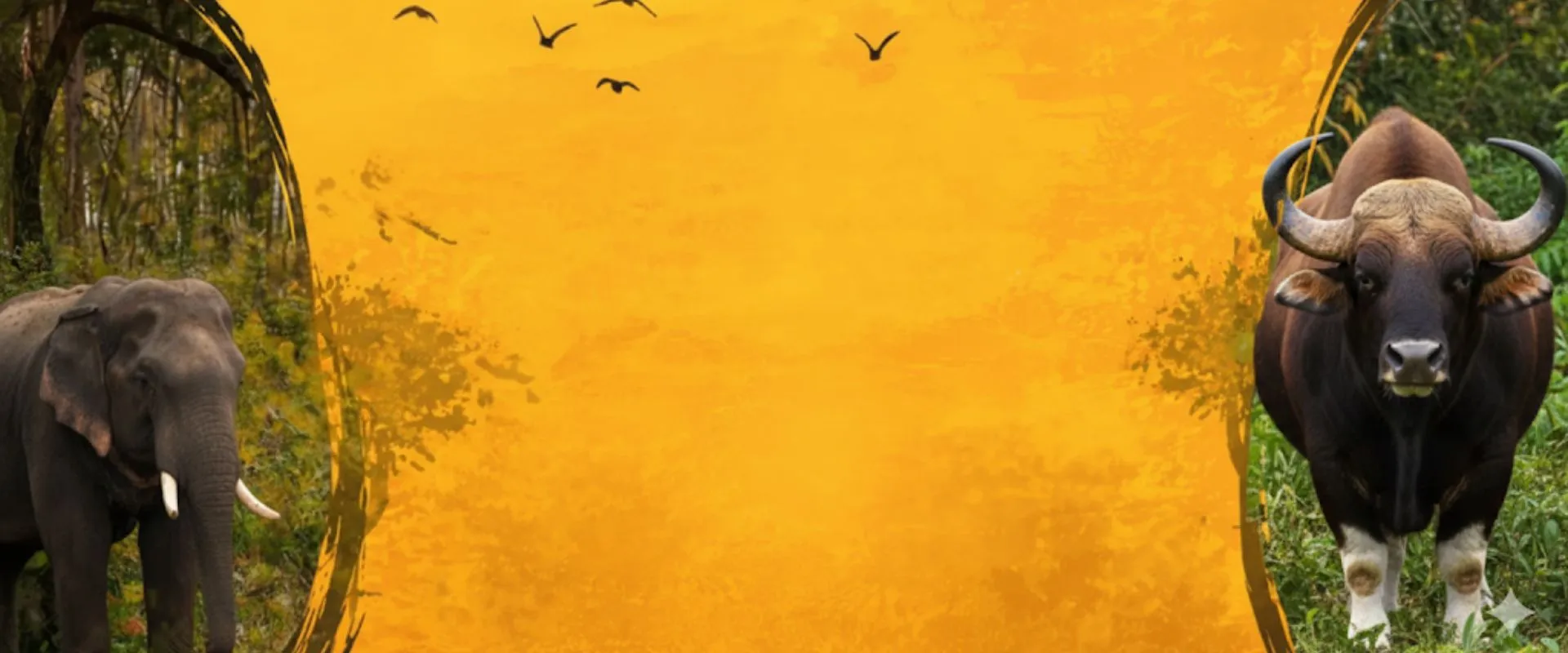 Bandipur Tiger Reserve Safari Booking