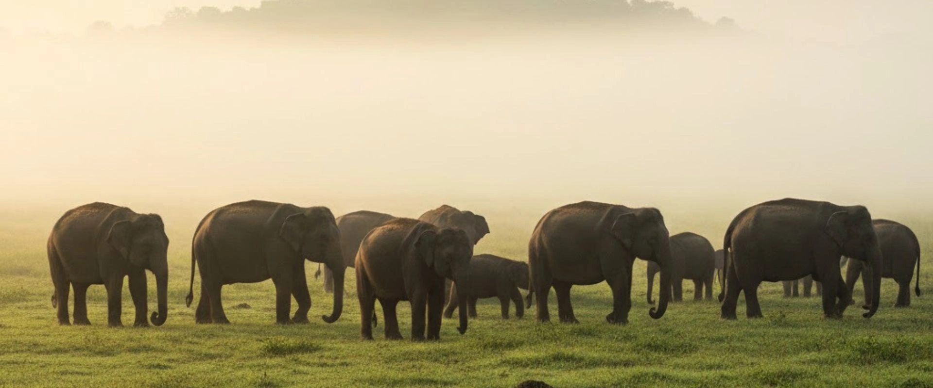 Himavad Gopalaswamy Betta Zone