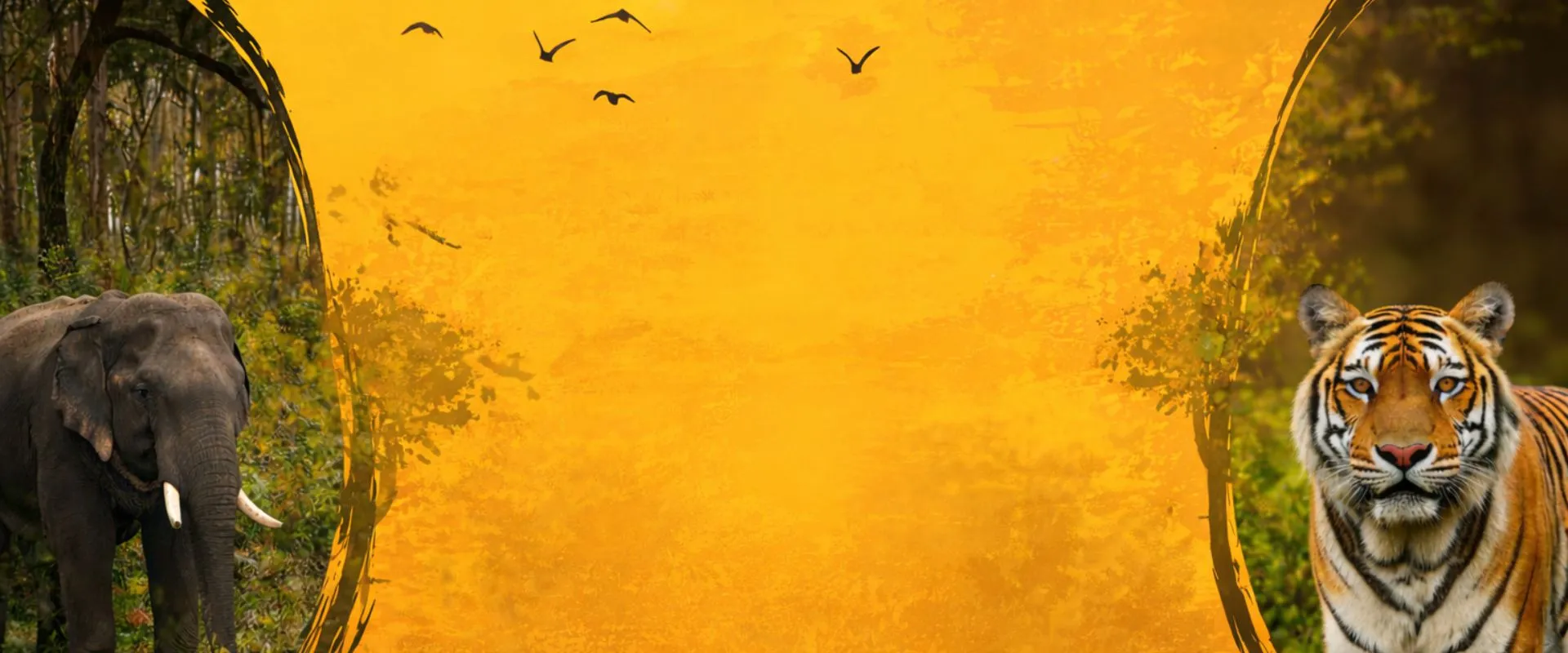 Pilibhit Tiger Reserve Safari