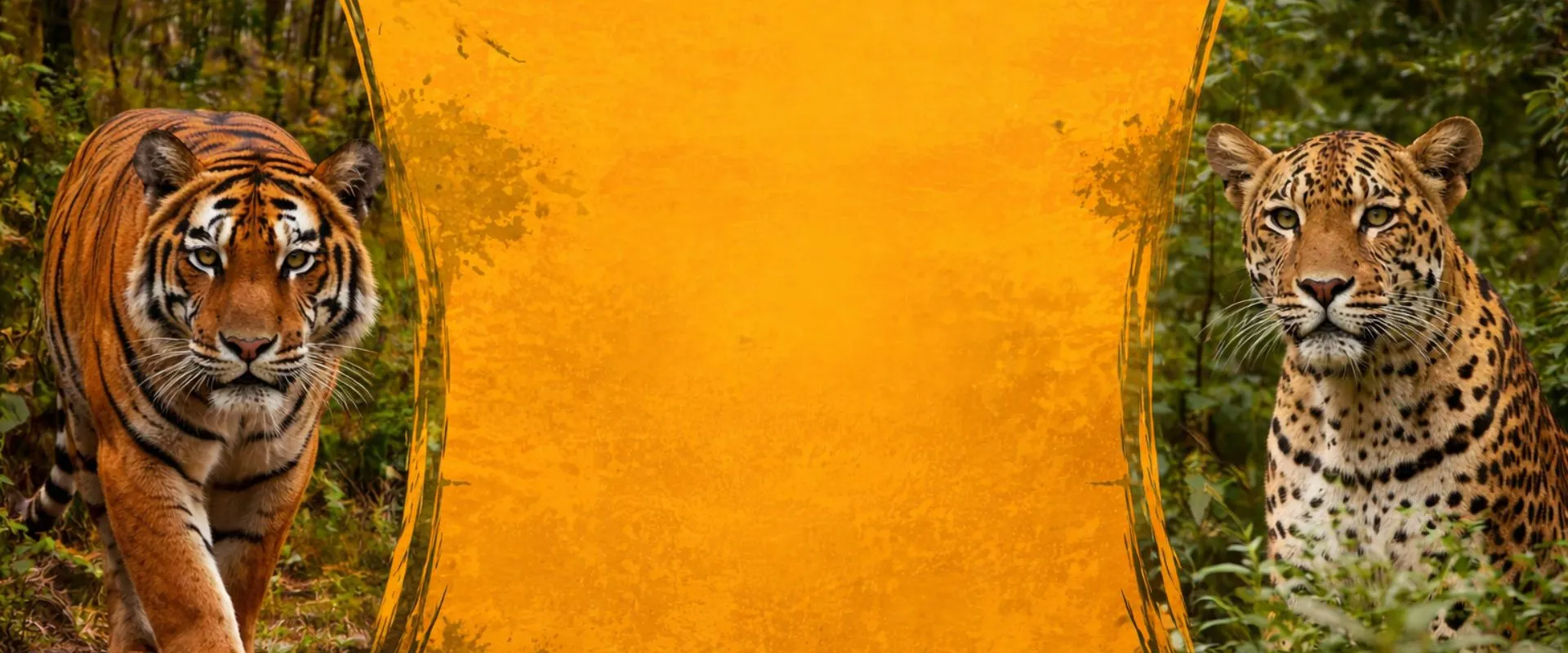 Pench Safari Booking