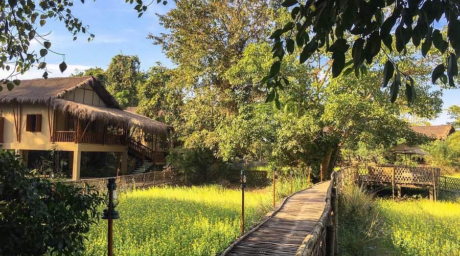 Diphlu River Lodge , Kaziranga