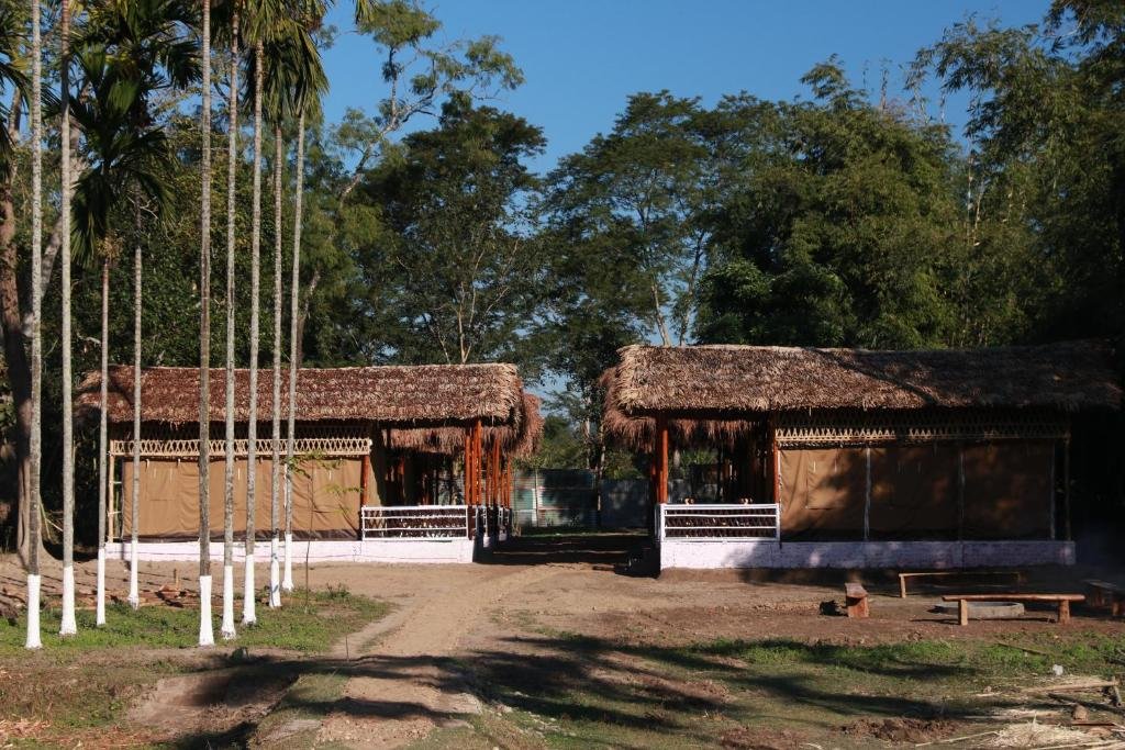 Kaziranga Eco Camp Kohora