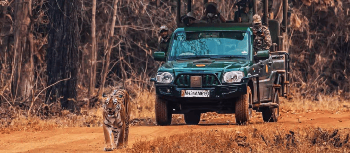 Mahua Vann, Pench